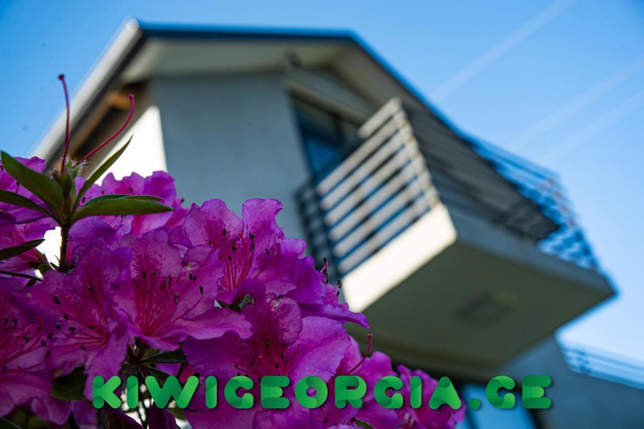 Kiwi Georgia Villa Kobuleti Bagian luar foto
