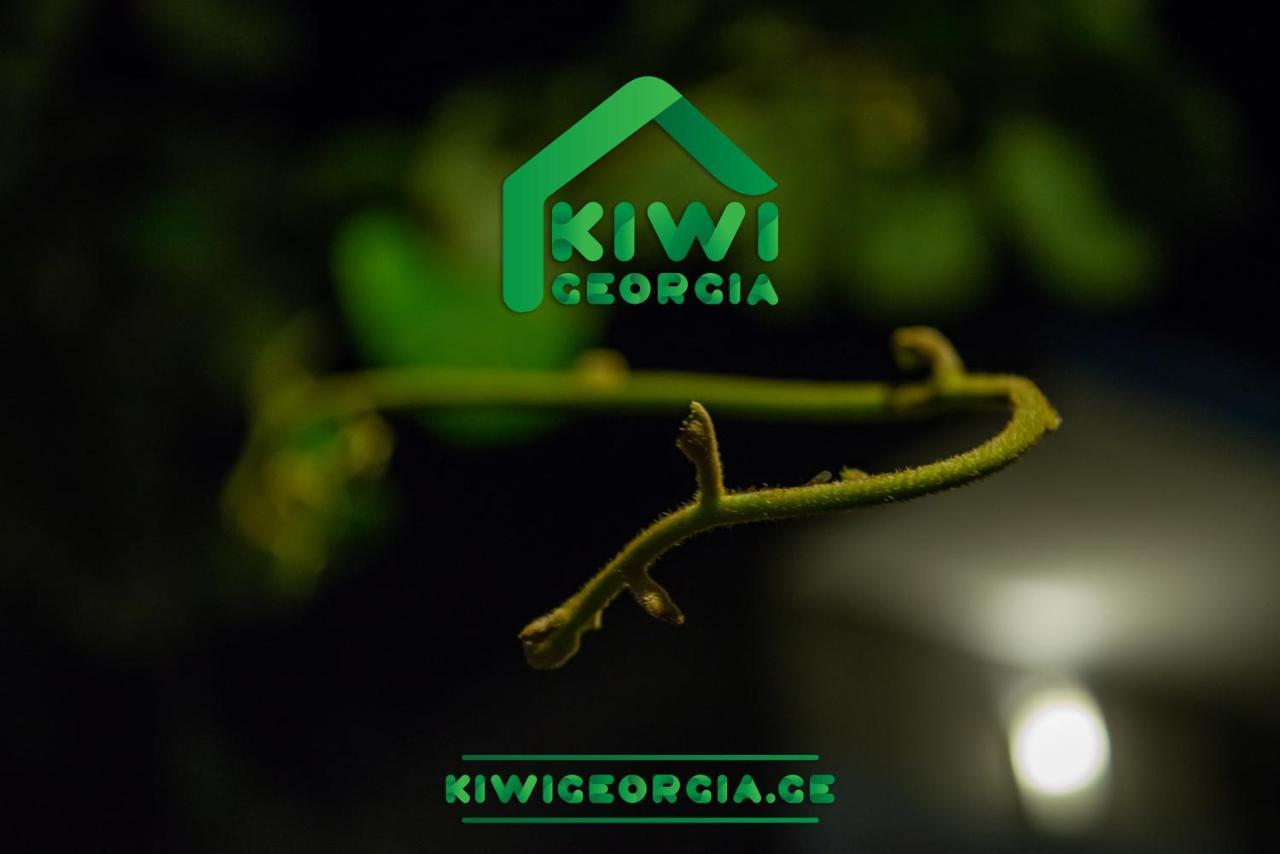 Kiwi Georgia Villa Kobuleti Bagian luar foto